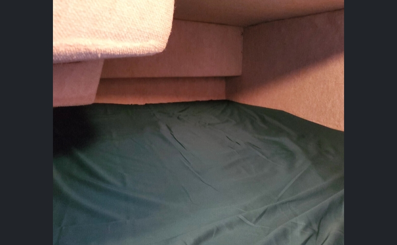 Sea Ray Sundancer-kuva-3